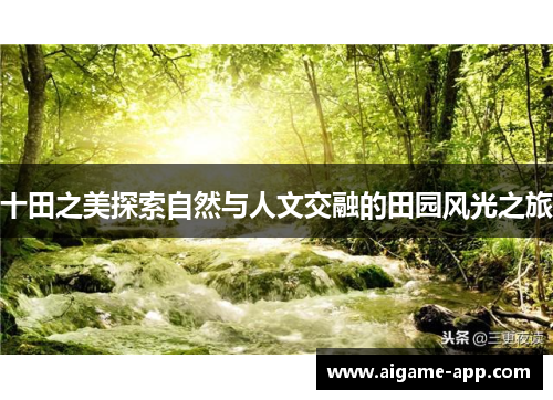 十田之美探索自然与人文交融的田园风光之旅