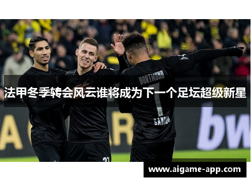 法甲冬季转会风云谁将成为下一个足坛超级新星